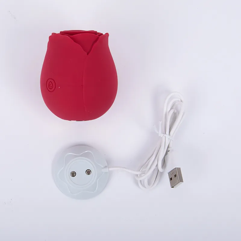 Silikon Rose Form Vagina Saugen Vibrator Intime Gute Nippel Sauger USB Klitoris Stimulation Leistungsstarke Spielzeug für Frauen Q0515288k