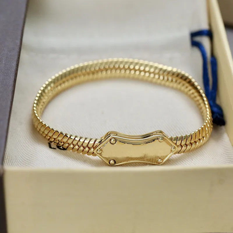 Brand Classic Snake Bone Chain Stainless Steel Electroplated 18K Gold Bracelet Designer Fashion Personality Charm Bracelet For Women & Men