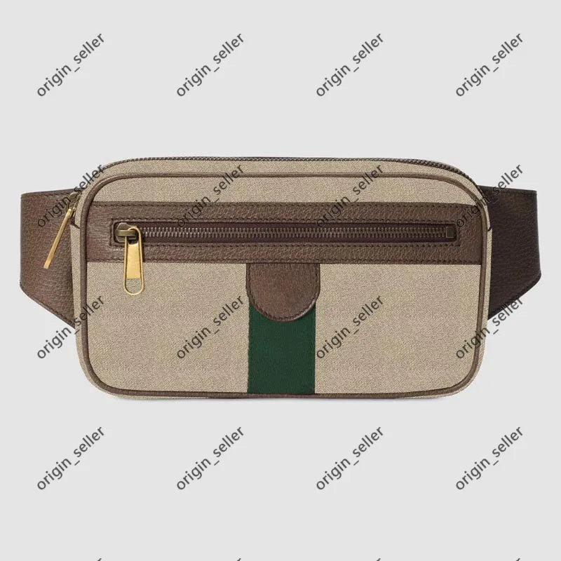 Мужские дизайнерские сумочки Bumbag 474293 Сумки для талии Fannypack Bed Bag Сумка женщина кросс мужские мужски Unisex Classic Fashion Женщины продают 300f