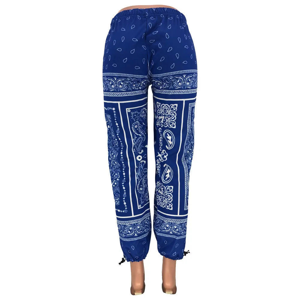 Lage Taille Bluewhite Bandanna Print Sporty Harem Broek Herfst Winter Vrouwen Losse Baggy Sweatpants Streetwear Broek Jogger 210525