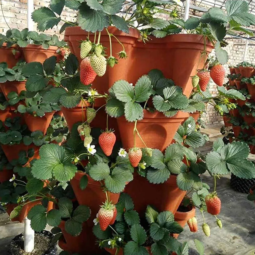 5 pièces Pot de fleur dimensionnel à quatre pétales bassin de fraises Pot de culture superposé multicouche Pot de plantation de fruits et légumes Y091258F