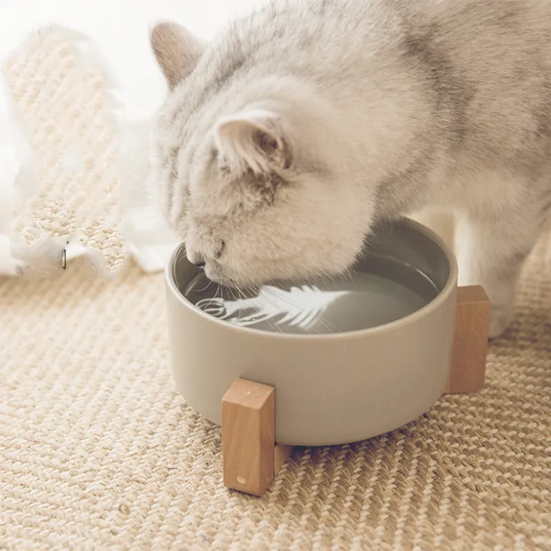 Cuenco doble de cerámica para gatos con soporte, suministros para alimentación de mascotas y alimentación para perros