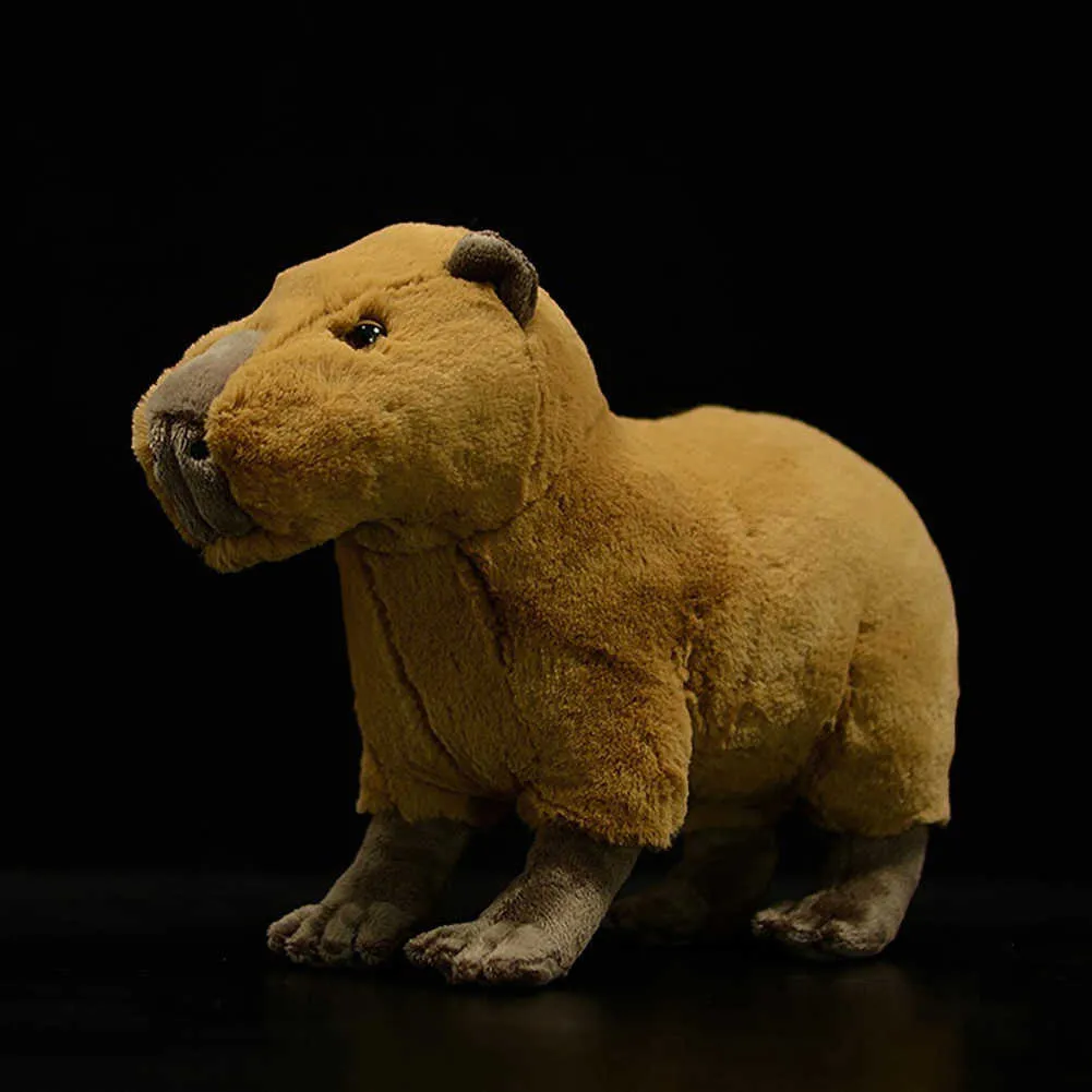 Simulation mignonne capybara soft peluche jouet réel vie hydrochoerus hydrochaeris poupée modèle animal kids anniversaire cadeau 31cm q07277645161