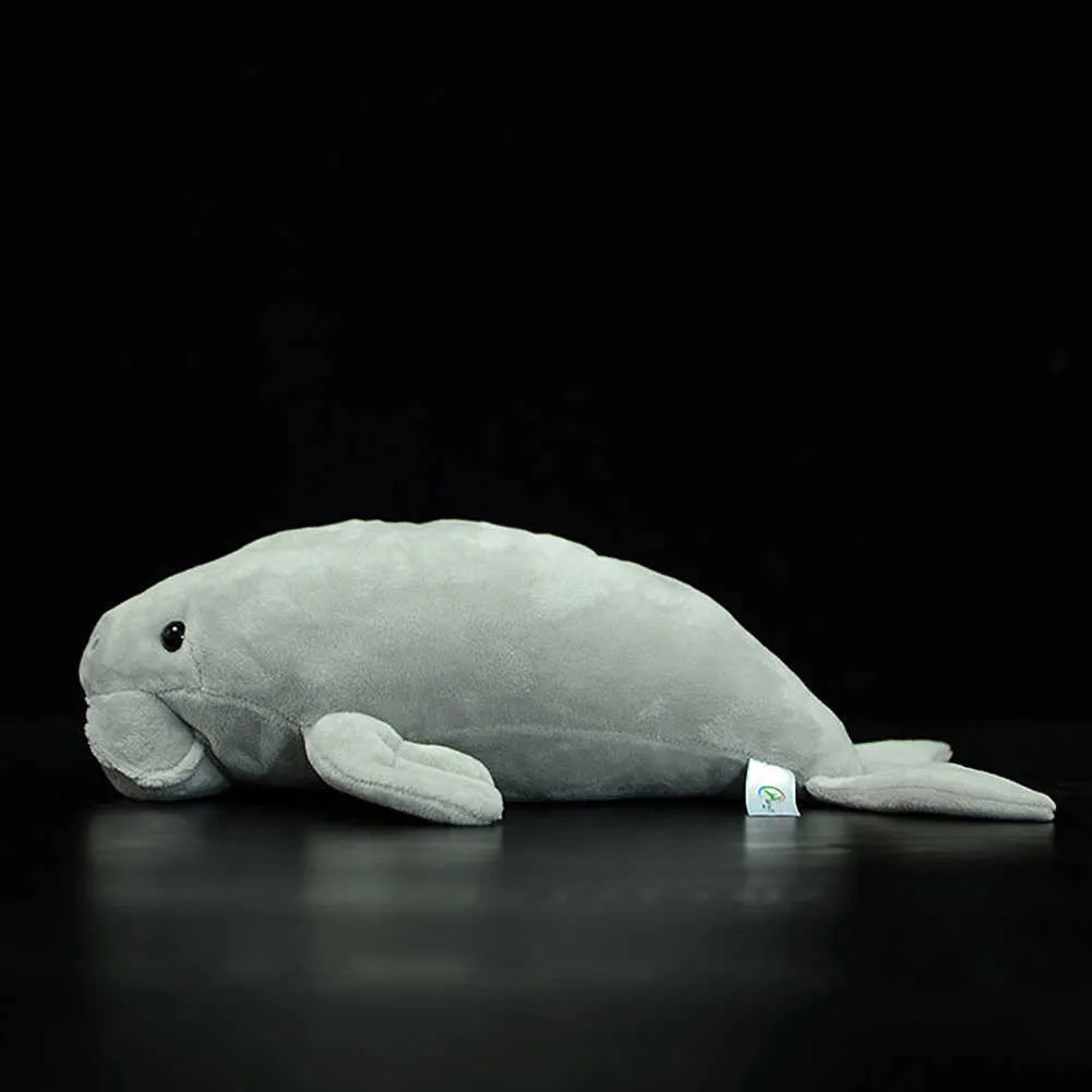 Simpatico dugongo dugon morbido peluche ripiene giocattoli lamantino bambola simulazione coccolone realistico dudongidae ocean animali modello regalo bambini 36 cm q0727
