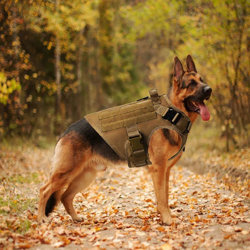 Geen pull-harnas voor grote honden militaire tactische tactische hond harnas vest Duitse herder Doberman Labrador service hondentraining product 210729