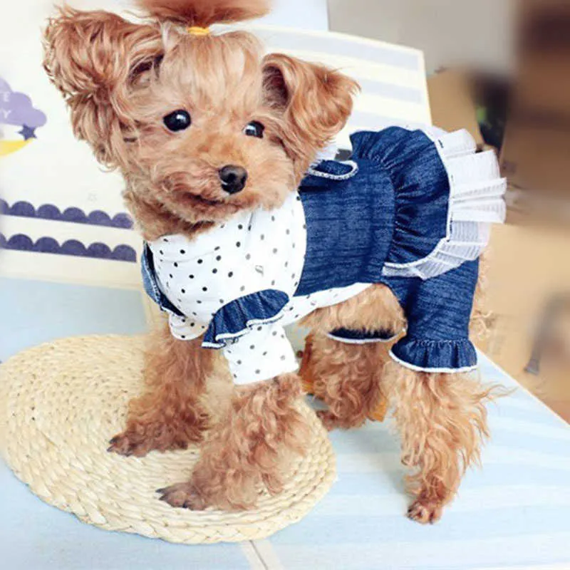 Pet Dog Jumpsuits Salopette Chiot Robe Style 100% Coton Vêtements Pour Petits Chiens Dentelle Arc Hoodies Printemps / Automne Chihuahua Caniche 210804