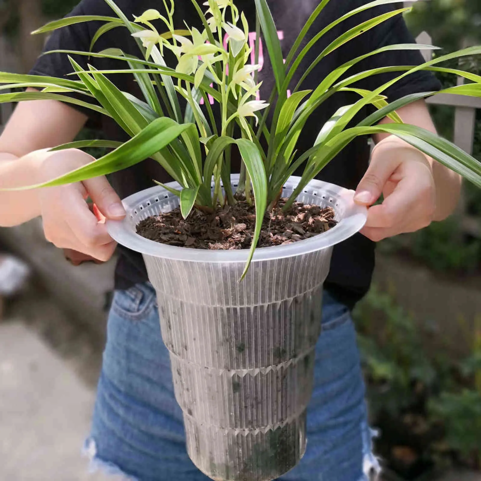 Meshpot Double Murs Excellente Trou De Drainage Pot D'orchidée avec Fente De Contrôle Des Racines Planteur De Fleurs En Plastique 211130