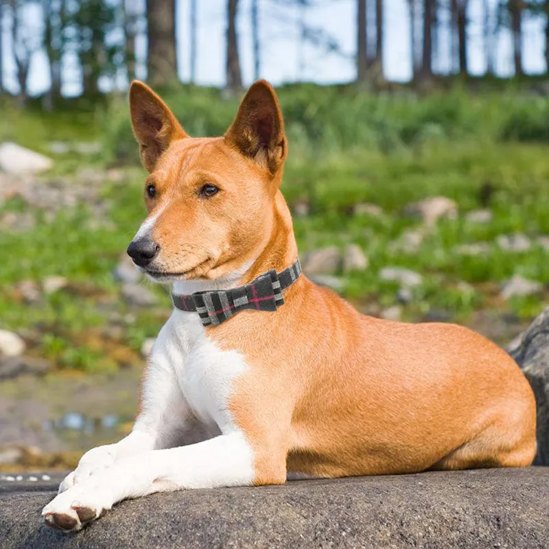 蝶ネクタイ犬の襟とリーシュセットクラシック格子形のチャーム調整可能なソフトレザードッグバンダナと子犬猫のための襟B32267P