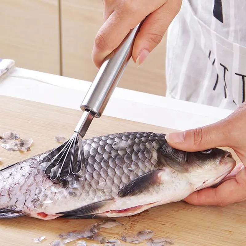 الإبداعية الفولاذ المقاوم للصدأ تمزيق جوز الهند سكين الرئيسية مبشرة كشط مكشطة الأسماك الفاكهة التخطيط