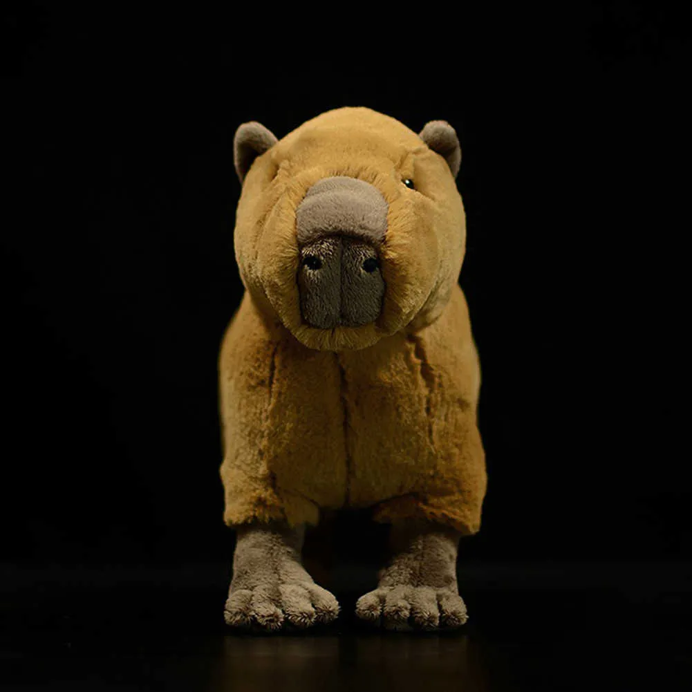 Simulation mignonne capybara soft peluche jouet réel vie hydrochoerus hydrochaeris poupée modèle animal kids anniversaire cadeau 31cm q07277645161