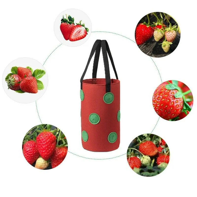 12 Hole Planter Bags For Growing Potato Outdoor Vertical Garden Hanging Vegetable Planting Grow Bag 220722