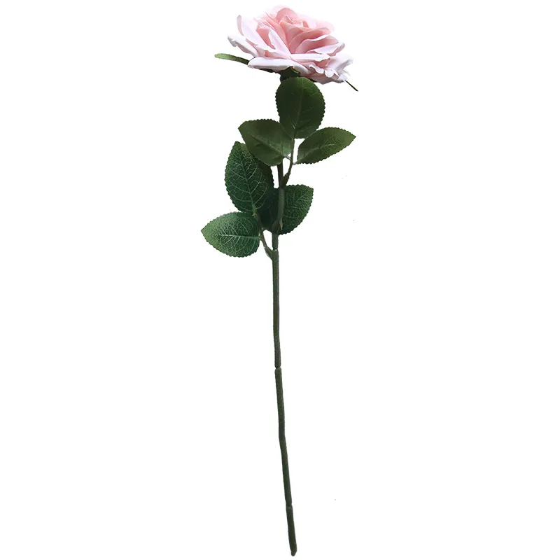 Novo ângulo de simulação ângulo de rosa ângulo de seda flores rosa flores de seda decoração de látex rosa rosa festa imitação de flores