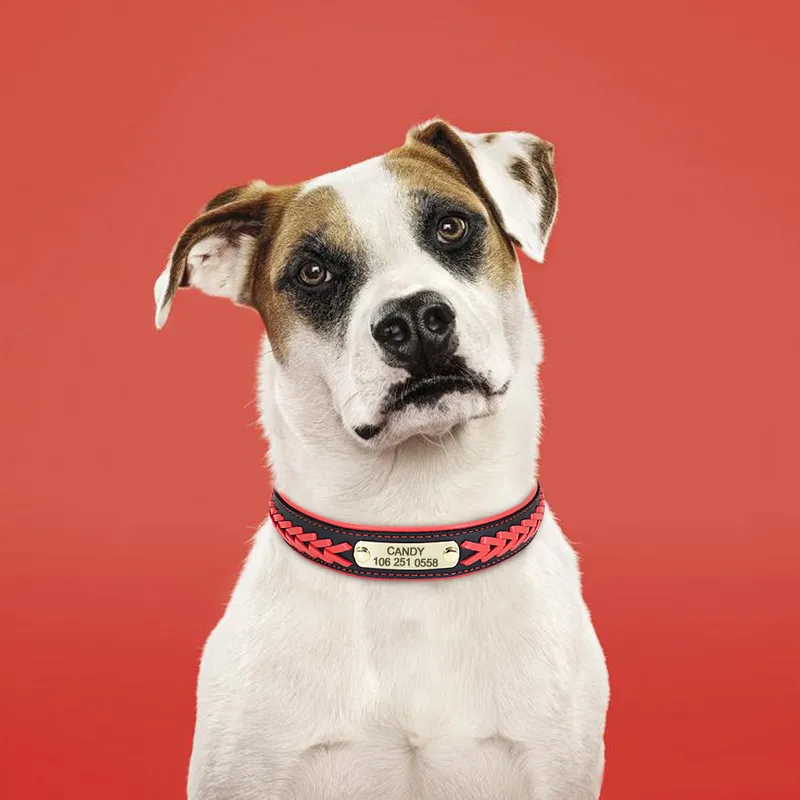 Personalized Braided Dog Collar Custom PU Leather Dog Collars Padded Pet ID Collar For Small Medium Large Dogs Pitbull Bulldog 220610
