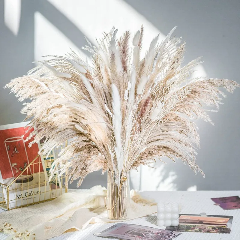 80 шт. натуральные сушеные цветы пампа букет из травы в стиле бохо домашний декор PhragmitesСвадебное украшение Рамадана Mariage Flores Secas2357356