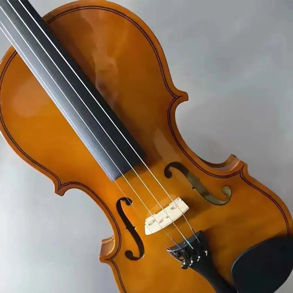 Professional grade test violin pure handmade solid wood violines retro color professional violin 4/4 musical instrument