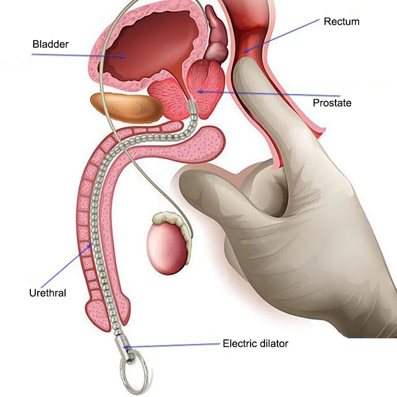 Mannelijke Penis Kralen Elektrische Schok Urethrale Dilatator Rvs Prostaat Massager Penis Bretels Ondersteunt 220716