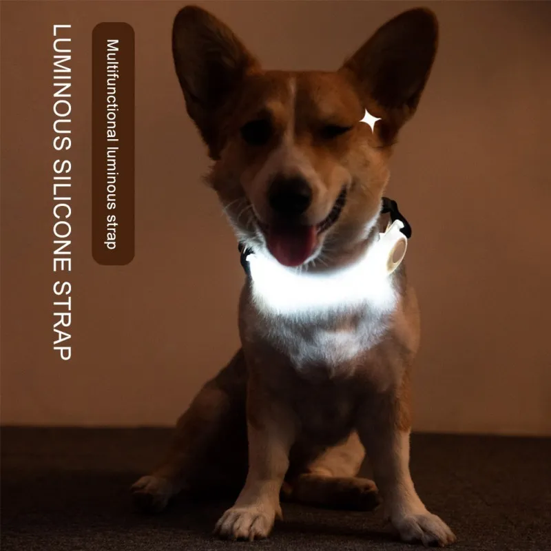 Collare cani a LED Pet Dog Traction Rope Night Collari cani Incandescente LED luminoso Night Safety Lampeggiante Glow Collar Strap 220610