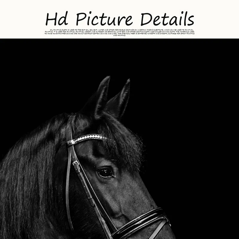 Black Horse Head Animals Canvas Painting Posters and Prints Scandinavian Wall Art Picture for Living Room Cuadros Home Decor