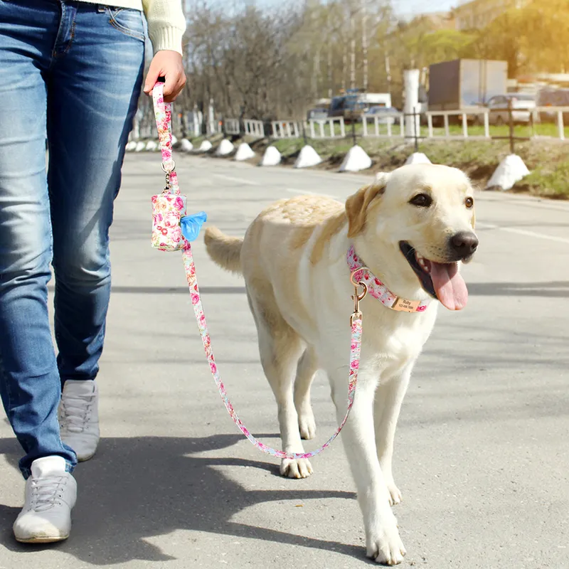 Ensemble de laisse de collier de chien personnalisé personnalisé imprimé collier d'identification gravé sac de friandises pour animaux de compagnie sac de collation pour petits chiens de taille moyenne 220608