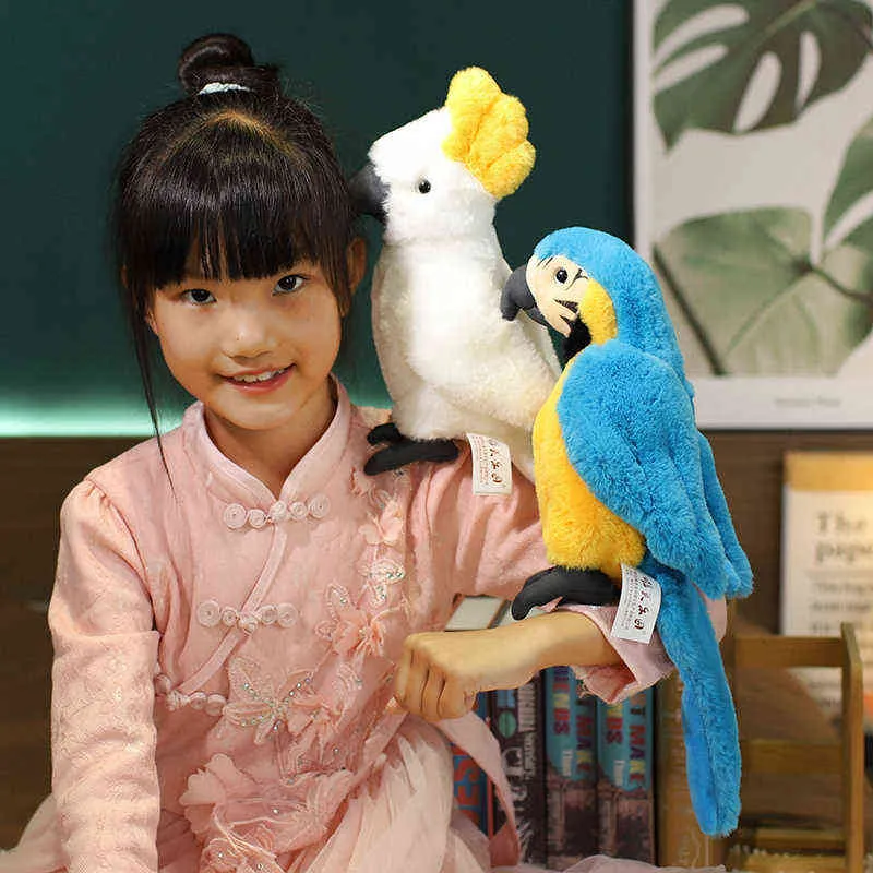 CM RealLife Parrot Bird Bird Toysかわいいシミュレーションハグドールホームカーガーデン装飾ギフト子供のための大人J220704