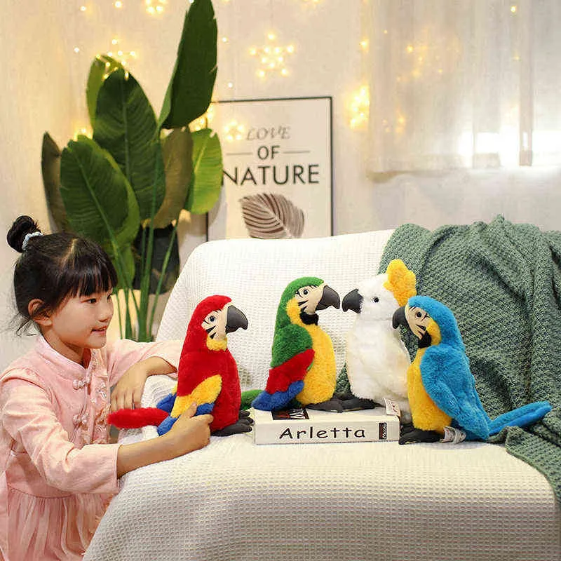 Cm Reallife Parrot Bird Plush Toys Cute Simulation Hugs Doll Home Car Garden Decor Gift For Kids Adults J220704