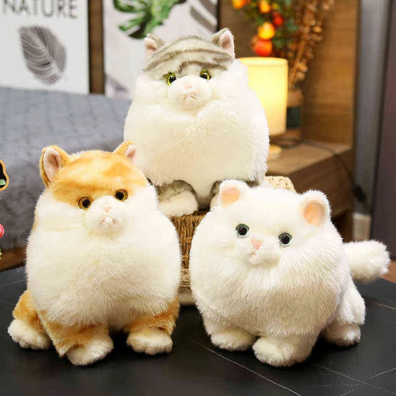 Cm Beautiful Simulation Cat Plush Toys Kawaii Fat Hairy Animal Totoro Plushie Doll Filled Soft For Children Christmas Gift decor J220704