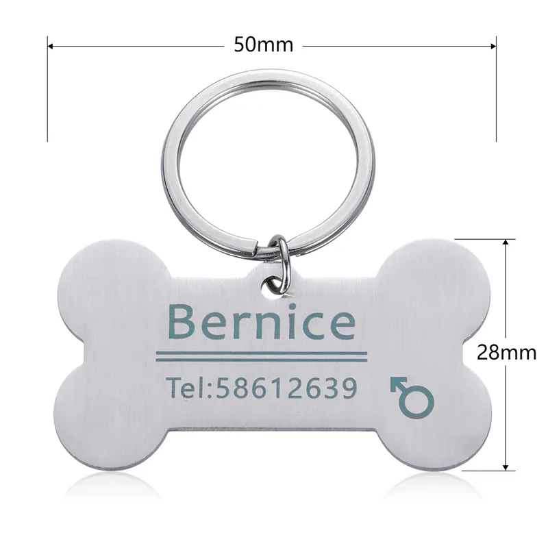 Gravure gratuite Pet ID Dog Tags Porte-clés Pet Dog Collar Accessoires Décoration Colliers En Acier Inoxydable Chien Pet Étiquettes Personnalisées 220610