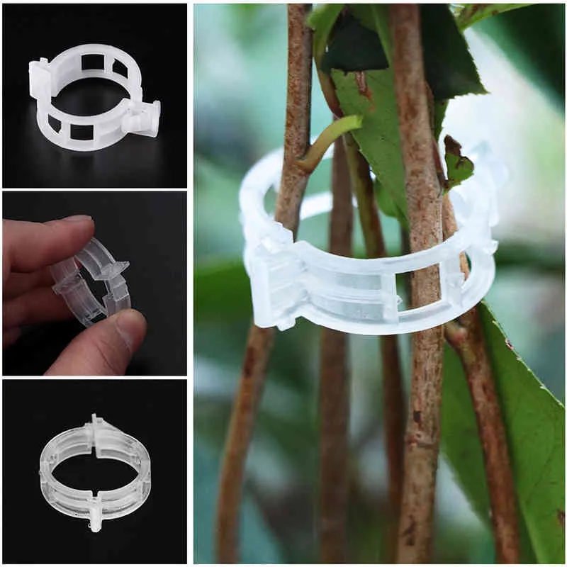 50/clip piante in plastica supporti collega protezione riutilizzabile innesto strumento di fissaggio forniture da giardinaggio pomodoro vegetale