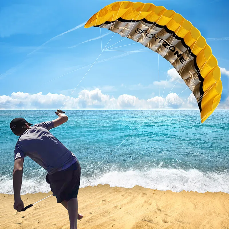 Hoge kwaliteit 25m Dual Line Parafoil Parachute Sports Beach Kite Easy to Fly Factory Outlet 220621