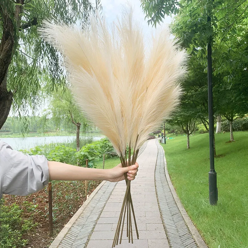 Party Decoration 10070cm Artificial Pampas Grass Bouquet Year Holiday Wedding Home Plant Simulation Dried Flower Reed 220919