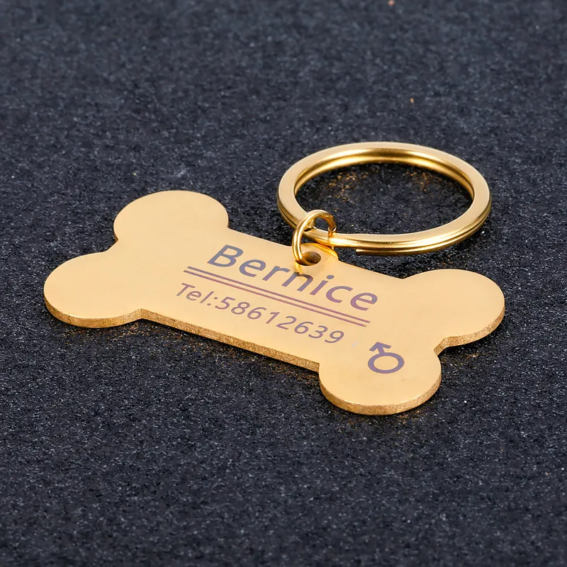 Gravure gratuite Pet ID Dog Tags Porte-clés Pet Dog Collar Accessoires Décoration Colliers En Acier Inoxydable Chien Pet Étiquettes Personnalisées 220610