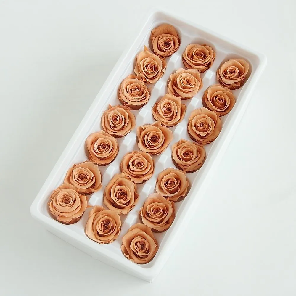 Mini préservé Rose tête éternelle vraies Roses pour la fête de mariage accessoires de décoration de la maison cadeau de fête des mères