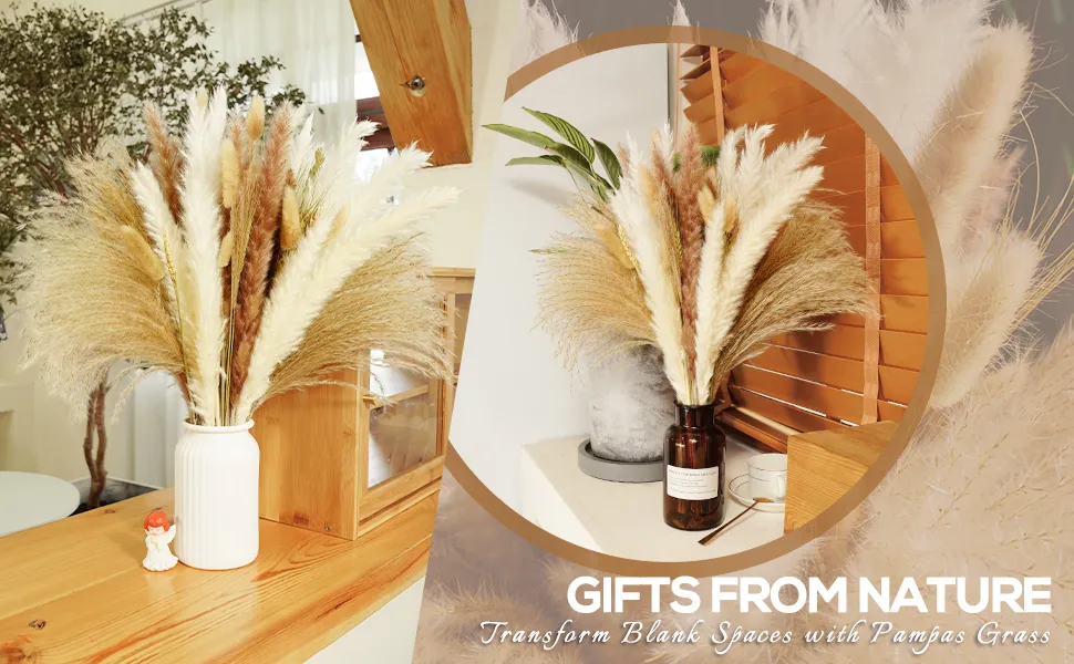 80個の乾燥パンパス装飾天然茶色の白い威厳のある草乾燥バニーテール小麦reed自由home家庭の花のアレンジ3400938