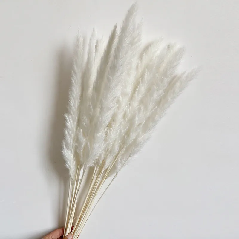 14st 7st Colorful Bulrush Grass Natural Dried Flowers Artificial Home Wedding Living Room Decoration Accessories Long Bouquet 220815