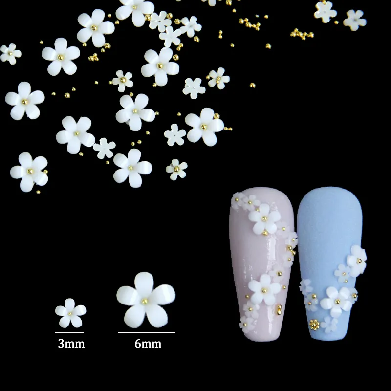 2g witte acrylbloem nagel kunstdecoratie gemengde grootte Rhinestones Gold Silver Gem Manicure Tool Accessoires Diy Nails Design