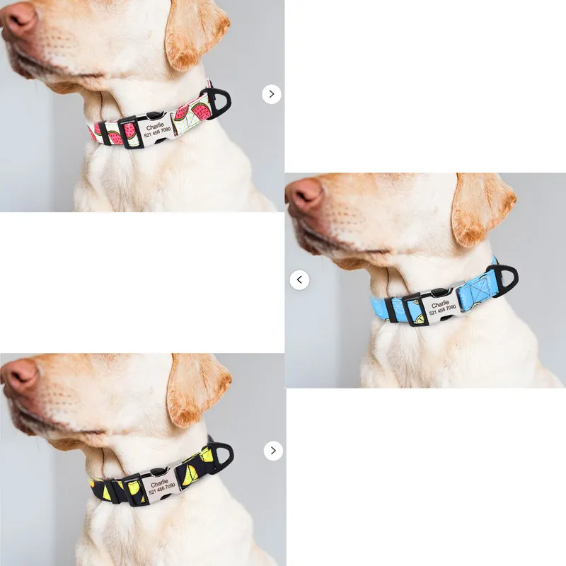 Niedlicher Aufdruck, personalisiertes Nylonhalsband mit gravierter Namens-ID, verstellbar für kleine, mittelgroße und große Hunde, Chihuahua 220622