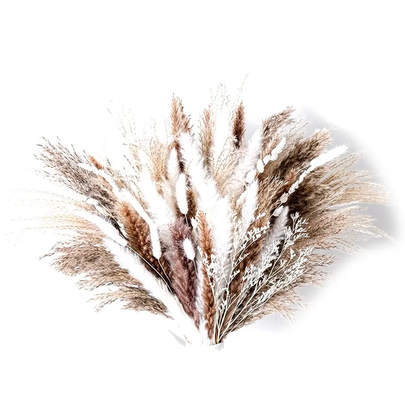 80 Stück natürlicher getrockneter Pampasgrasstrauß, Boho Home Decor Blumenstrauß, Phragmites getrocknete Blumen, Blumenstrauß für Hochzeitsdekoration 220408