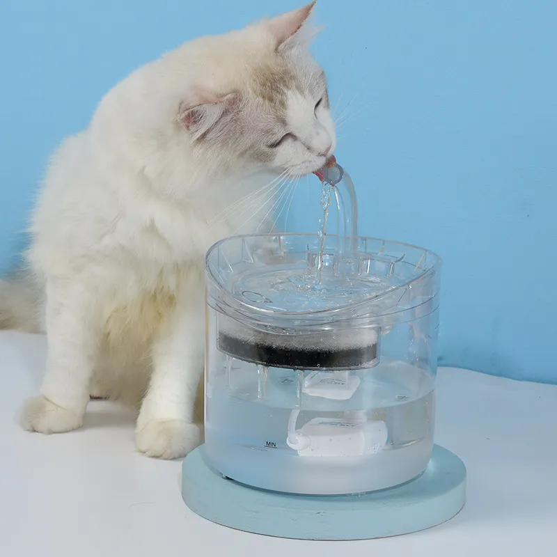 2L Automatyczne Cat Water Fountain z baterie Dozownik Dozownik Przezroczysty Piojki Dla Kotów Pet Pila Miska Podajnik filtra 220323