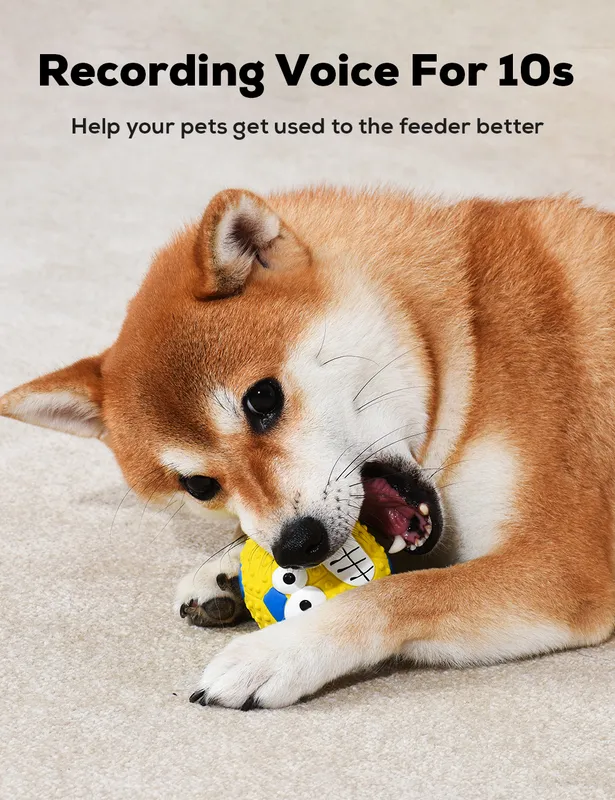 犬のおもちゃ玩具きしむボールラテックスラバーテックスラバースクイークミディアムペット用のソフトな弾むフェッチボールインタラクティブプレイ用品220510