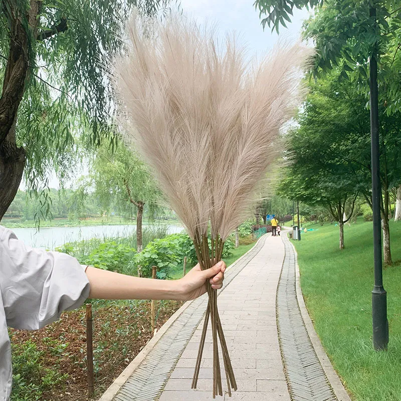 Party Decoration 5st 10070cm Artificial Pampas Grass Bouquet Year Holiday Wedding Home Plant Simulation Dried Flower Reed 220919