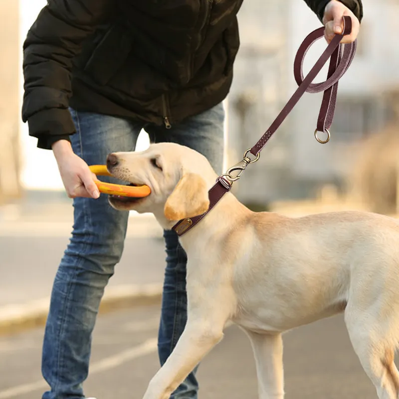 Ensemble de laisse de collier de chien en cuir personnalisé laisse de collier d'animal de compagnie personnalisée plaque signalétique gravée gratuite pour petits chiens de taille moyenne 220610