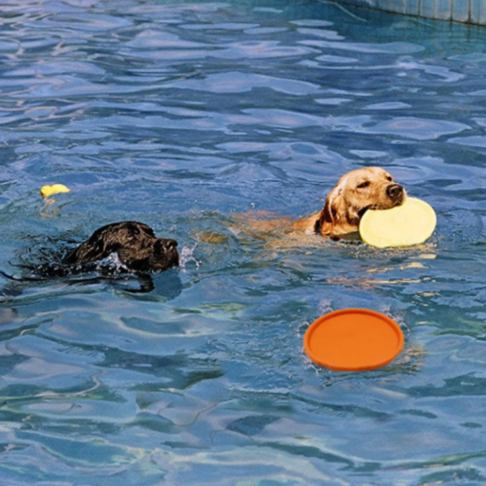 インタラクティブドッグチューおもちゃ抵抗噛む柔らかいゴム子犬のペットおもちゃ犬のペットトレーニング製品犬飛ぶディスク