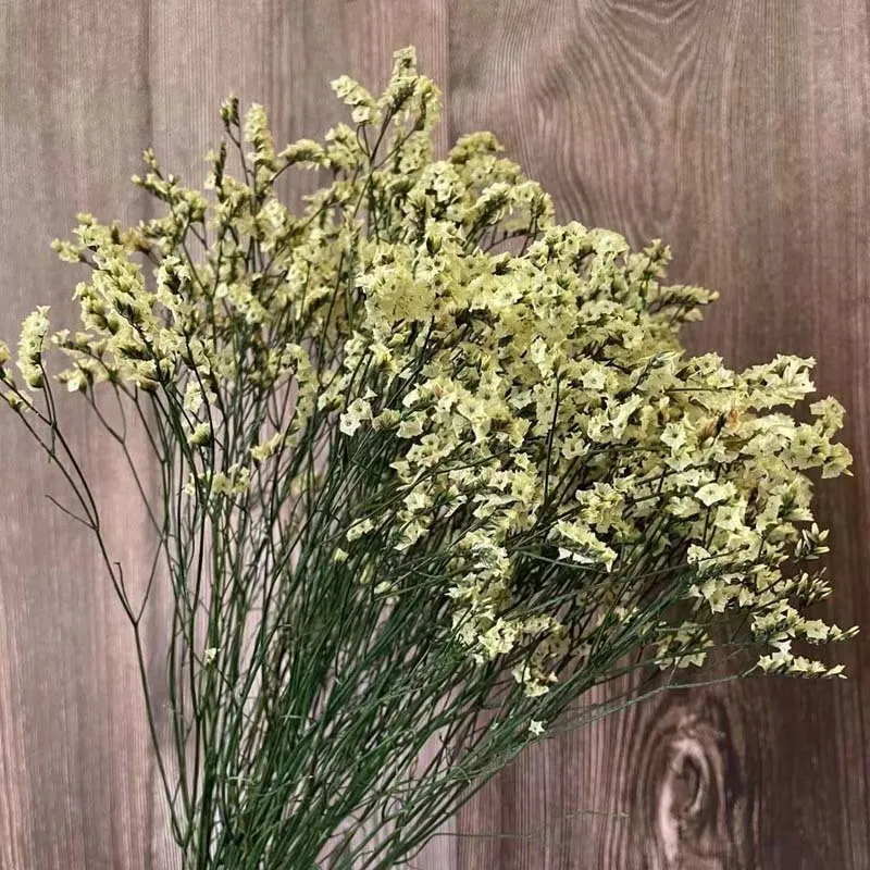 35~42CM/60g Crystal Grass Natural Fresh Dried Preserved Forget me Flowers,Real Forever Lover Grass Branch For Home Decor 220406