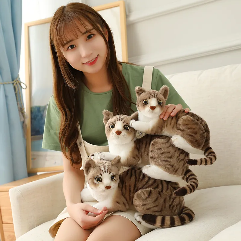 Nieuwe gevulde levensechte Siamese katten pluche speelgoedsimulatie American Shorthair Cute Cat Doll Pet Toys Home Decor cadeau voor meisjes bi