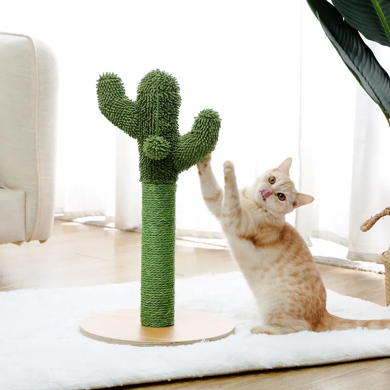 Leuke cactus Pet Cat Tree speelgoed met bal krabpaal voor kitten klimmende champignon condo bescherming meubels snelle levering 220510