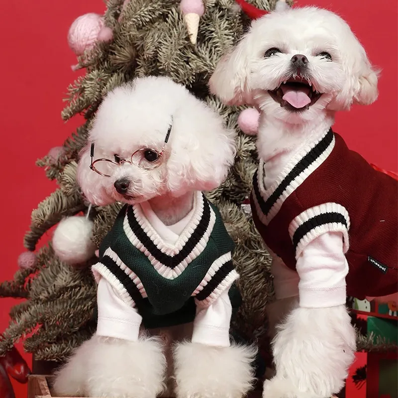 Hondenkat trui preppy stijl v-neck gestreepte vest puppy puppy winter warme kleding apperal voor honden katten xs-5xl