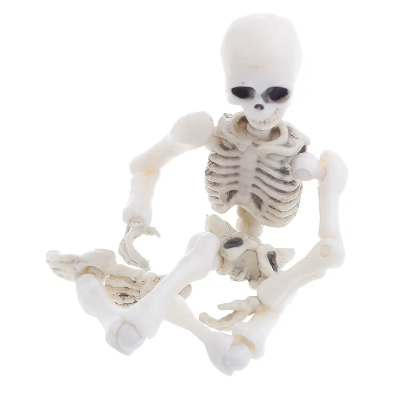 Halloween Toys Movible Mr Bones Skeleton Human Model Skull Full Body Mini Figur 2208232388064