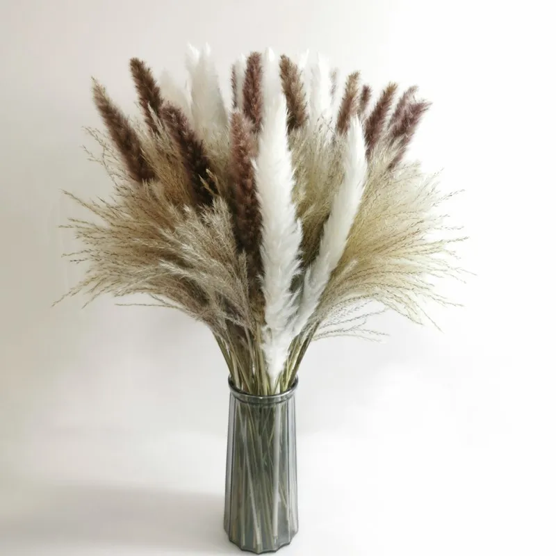 Dried Flowers Pampas Grass Natural Plants Bouquet Lagurus Ovatus Flores Secas Wedding Home Easter Decoration Po Props 220406