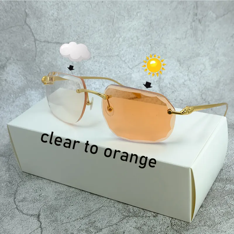 Färgförändring Sungasse Carter Stylish Pochromic 4 Season Sun Glasses Två färger Linser Shades Eyewear Diamond Cut Sunglass 2 CO309D
