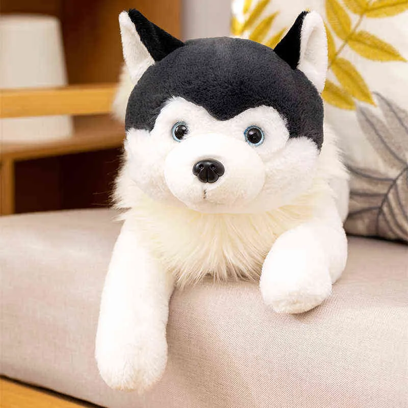 CM Symulowany Shiba Inu Husky Polar Bear Cat Peluche Toy Pchana miękka poduszka zwierząt Piękna lalki dla dzieci Prezenty dla dzieci J220704